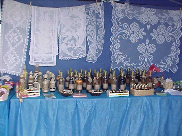 Mvc 006s display