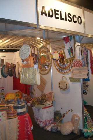 29   feras pe al2 niver df 098 display