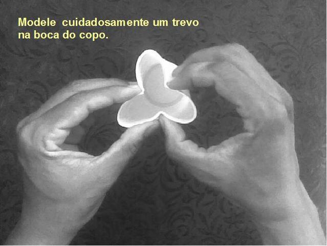 Copos3modele display