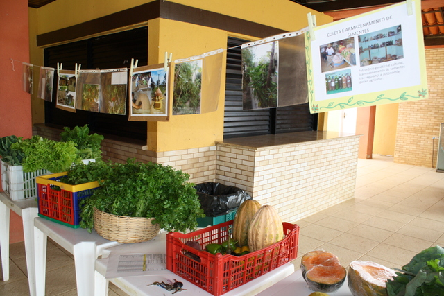 28 08 2010 059 display