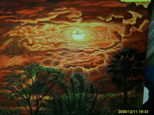 Por do sol pantaneiro display
