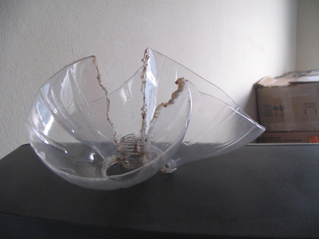 Pet  1  display