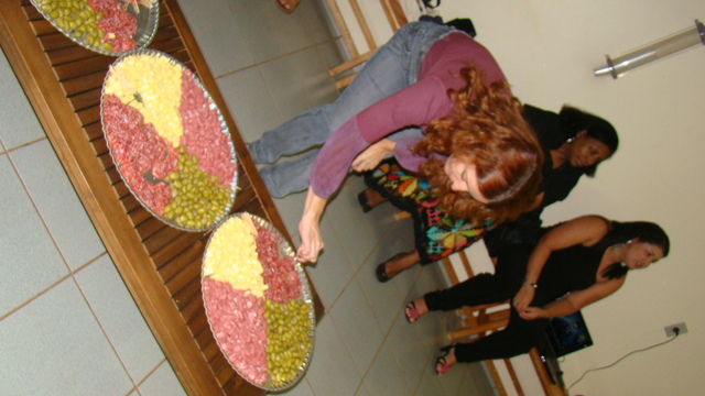 Sistamatização nacional festa 27 abril 2011  24  display