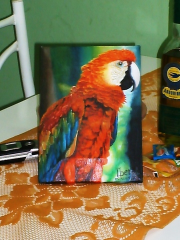 011 display