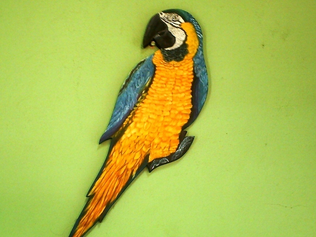 Arara amarela display