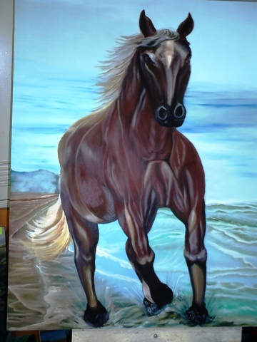 Cavalo ost display