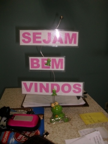 Alim3449 display