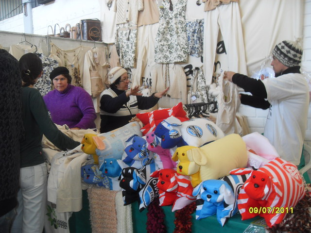 Caravana es feira de santa maria 2011  117  display