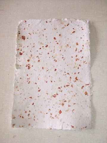 Papel a4 com casca de cebola display