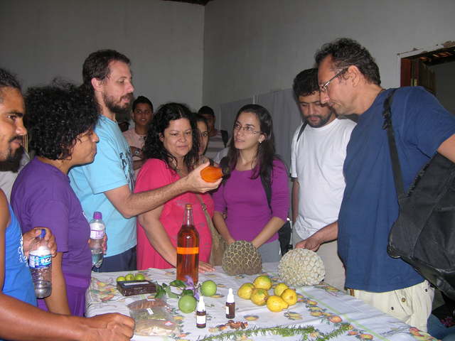 Norte de minas display