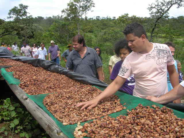 Norte de minas 2 display