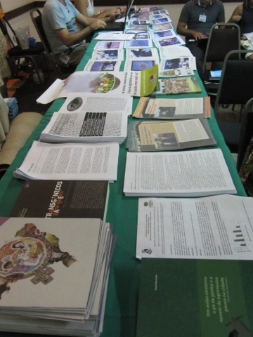 Img 1667 display