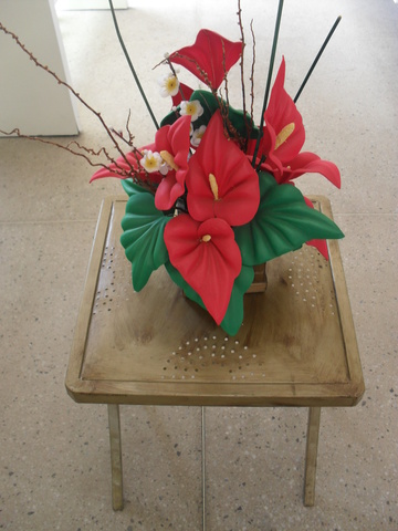Sam 1270 display
