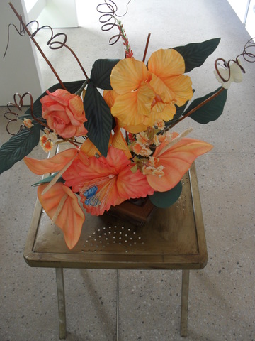Sam 1271 display