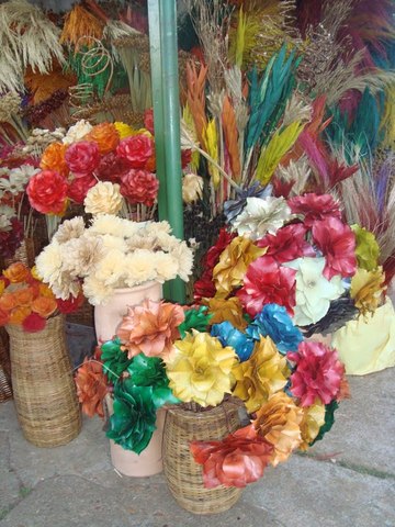 Impossivel nao lembrar de frida khalo display