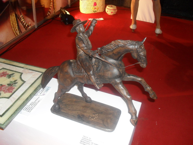 Sdc11752 display