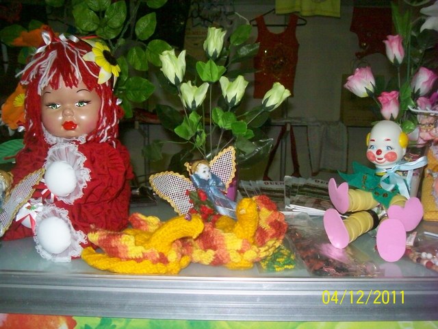100 2829 display