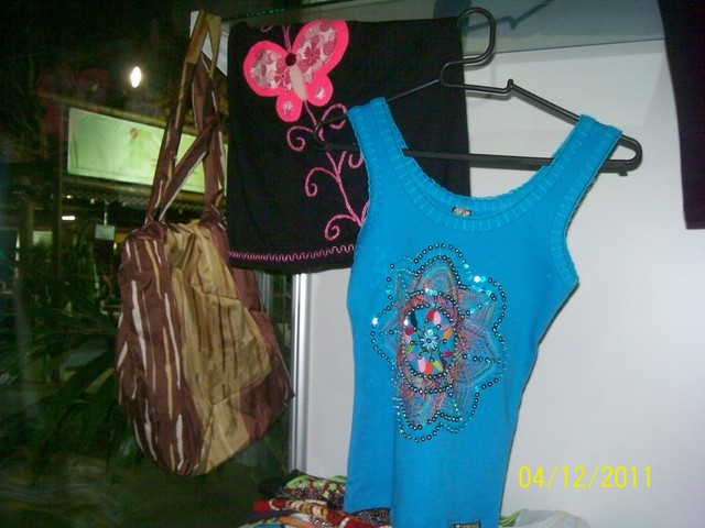 100 2831 display