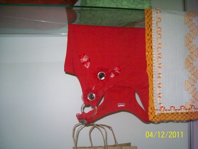 100 2833 display