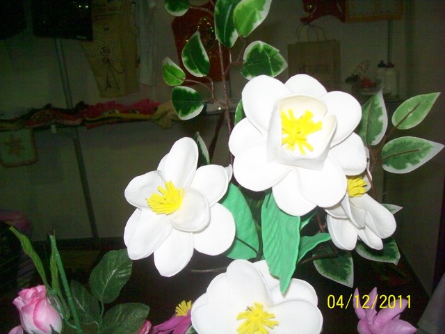 100 2840 display