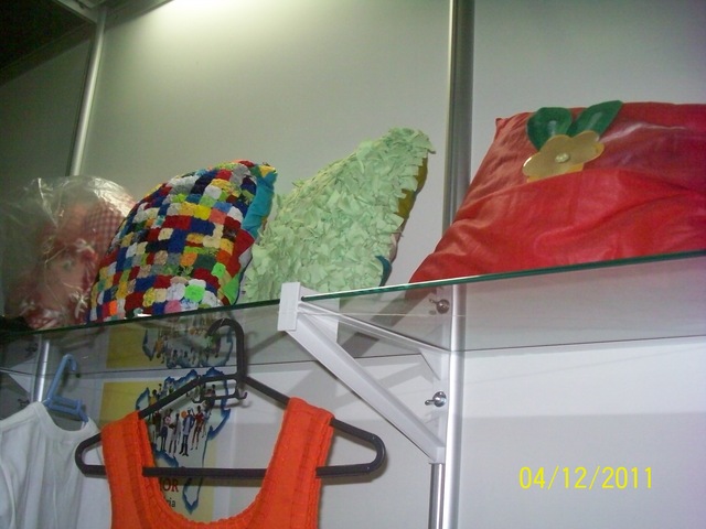 100 2828 display