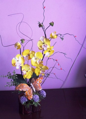 Gedc0705 display