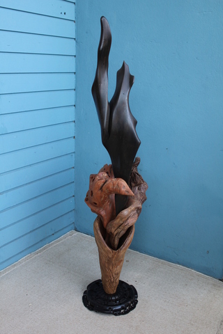 Corpo negro alcado3 display