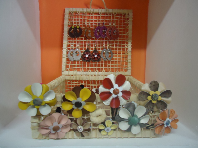 Dsc06732 display