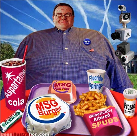 Humourbigmacnwo1 display