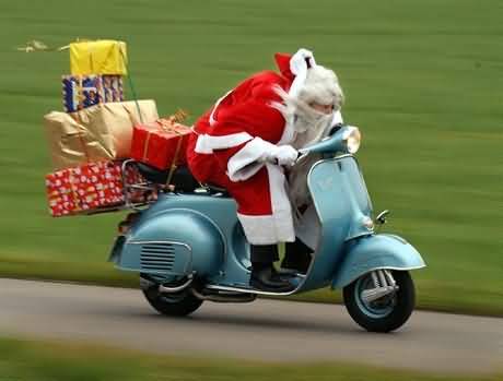 Perenoel display