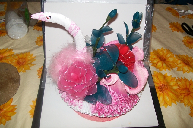 107 5094 display