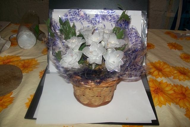 107 5135 display