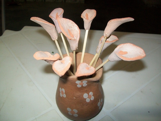 100 7042 display