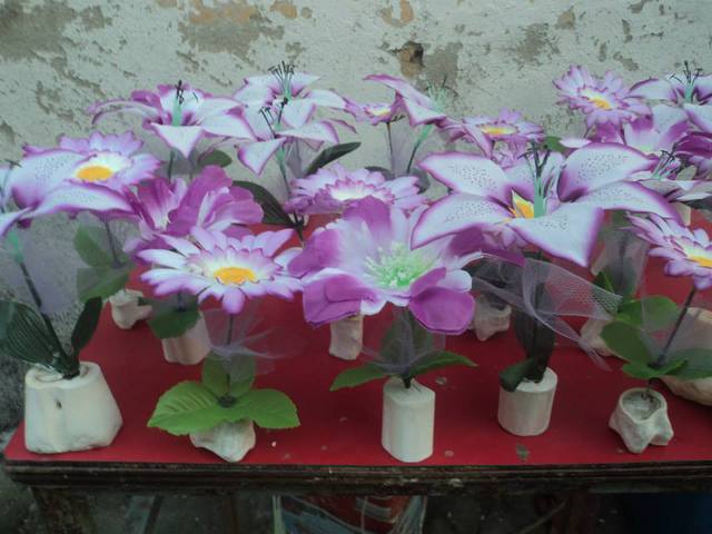 Foto08 display