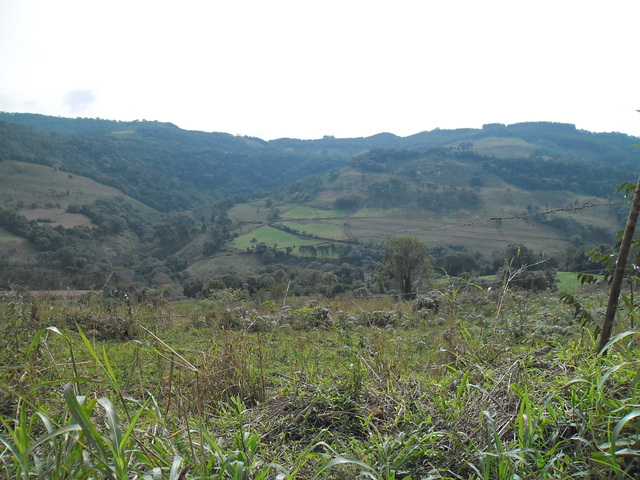 Paisagem 1 display