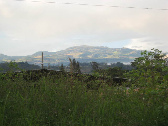 Paraiso 21 display