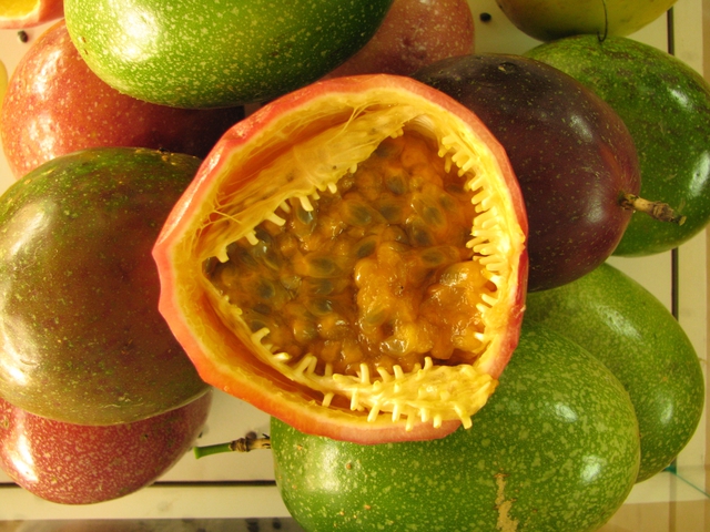 Maracuja display