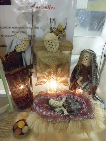 Cimg2793 display