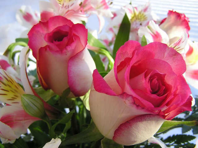 Flores imagenes 4 display