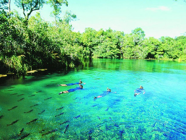 Rio da prata bonito ms display