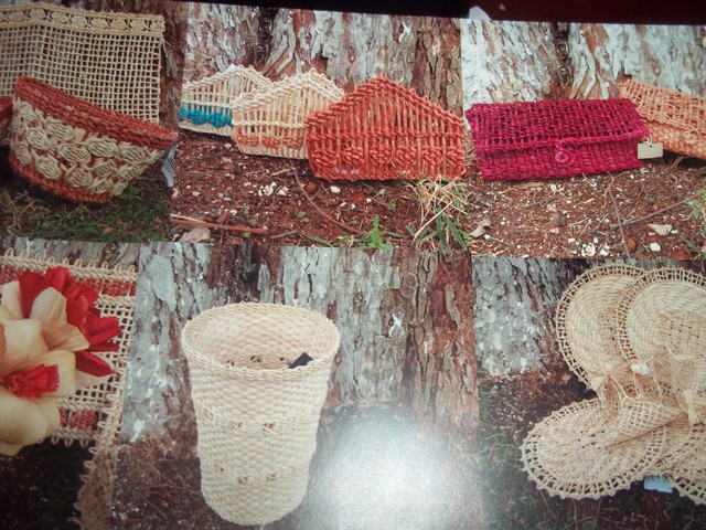 Imagem 002 display