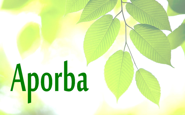 Aporba capa display