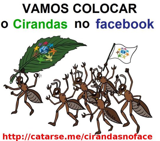 Foto formiga display