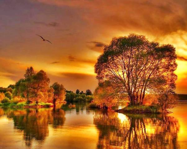 Paisagem lagos tarde display