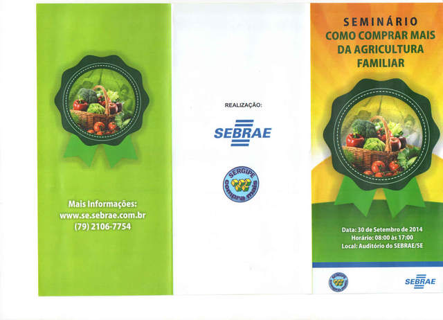 Semináriosebrae  1  display