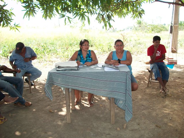 GraÇa 242 display