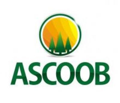 Sistema ascoob display