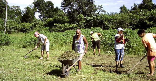 Mulheres no campo display