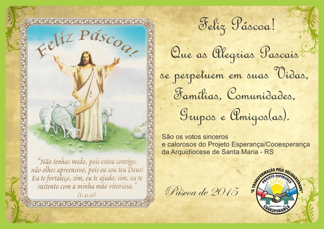 Feliz  p scoa 2015 display