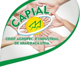 Logomarcaredimens display